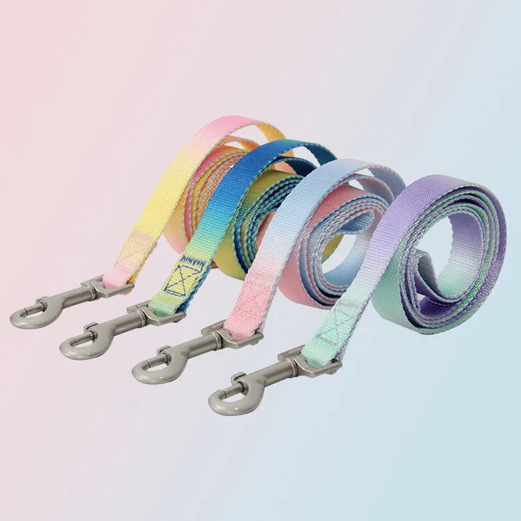 Nylon dog leash and matching gradient colour collar set for pet walking