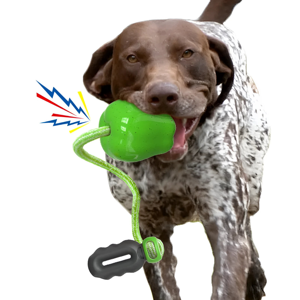 Green plastic dog chew ball toy shaped like an apple with a squeaker.