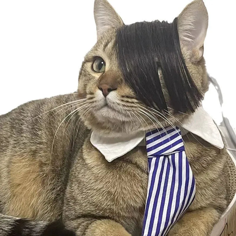 Black imitation braid fox design cat wig for pet costume play