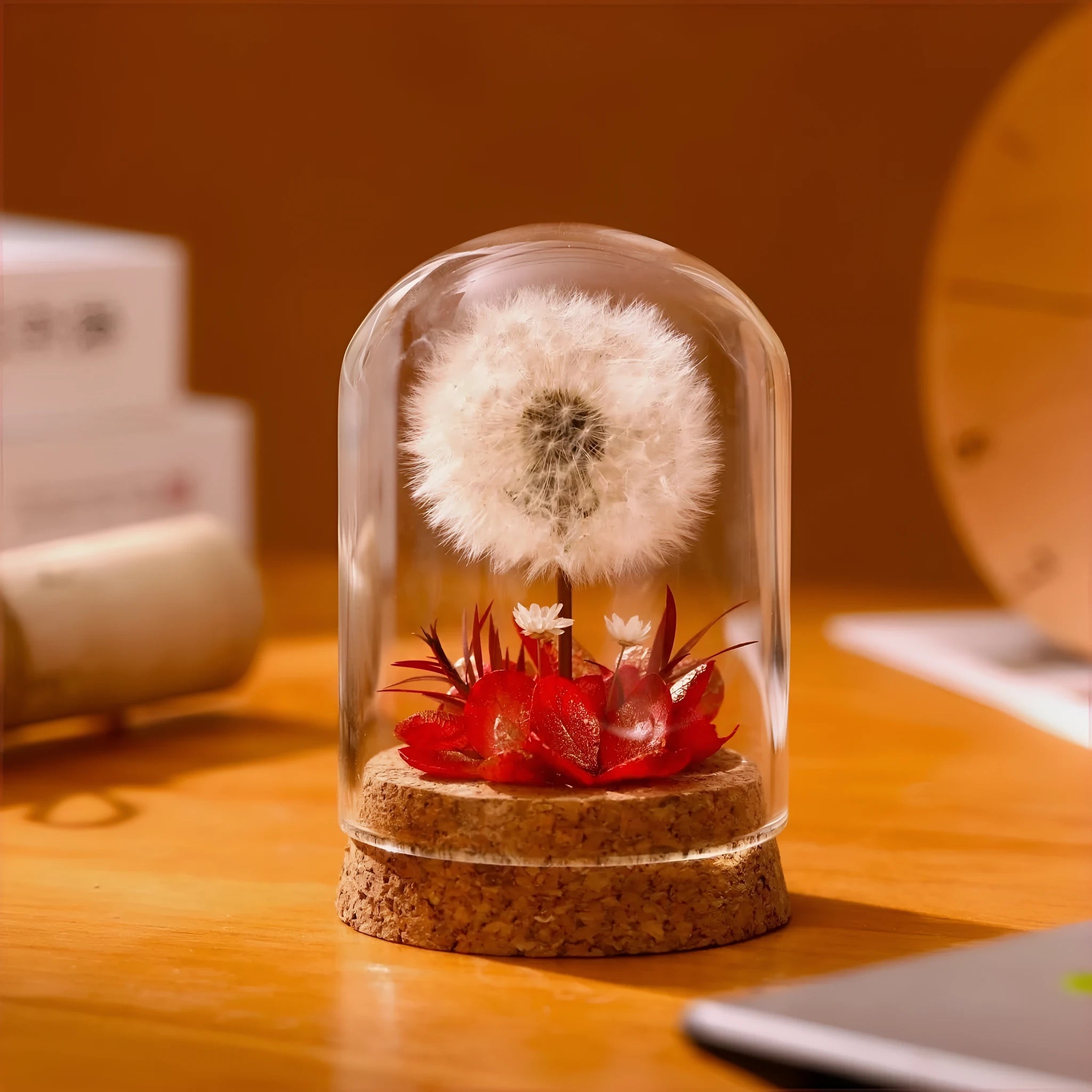 Glass dandelion-shaped night light ornament with gradient colour options on display surface