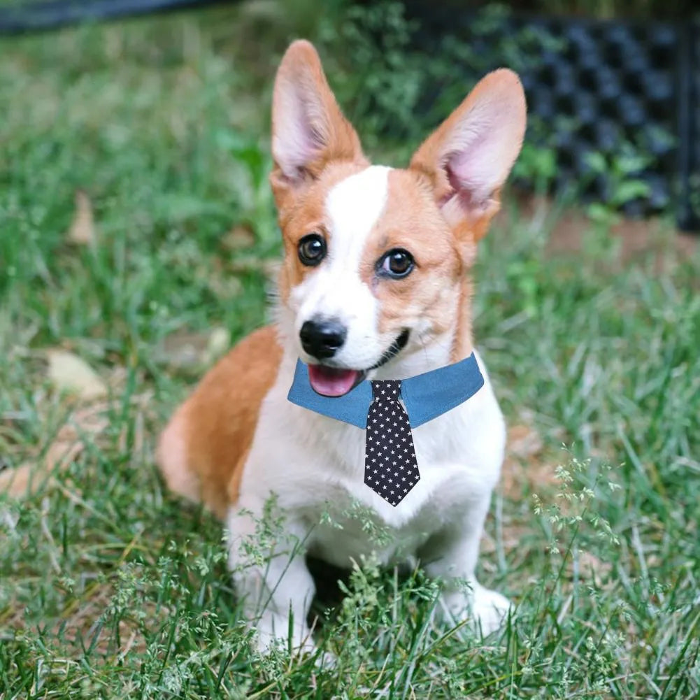 Adjustable denim dog collar with star-pattern bow tie attachment for formal occasions
