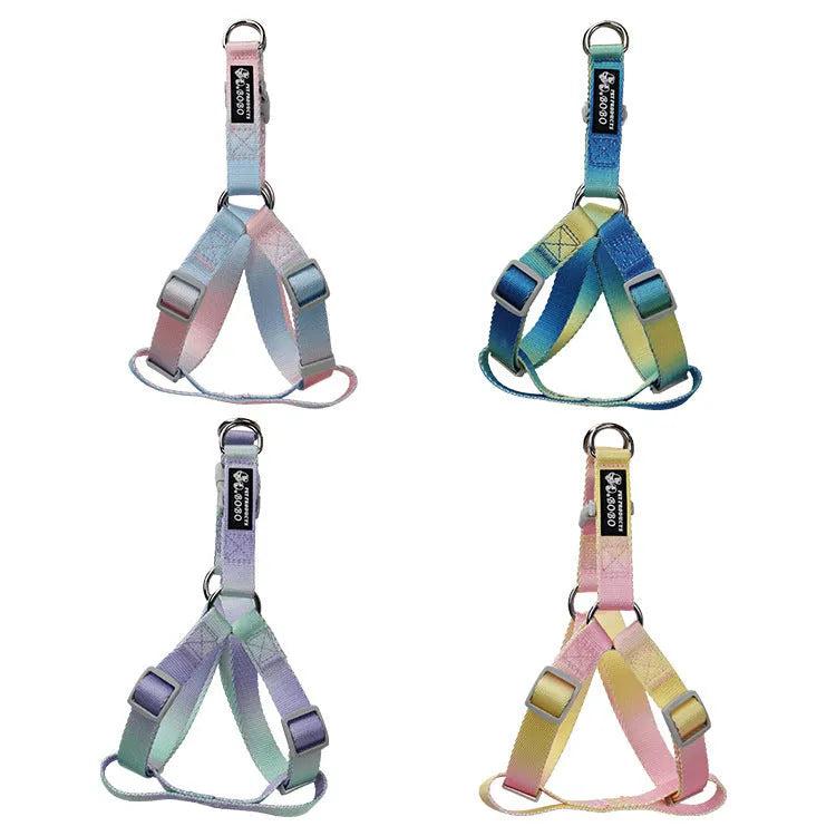 Nylon dog leash and matching gradient colour collar set for pet walking