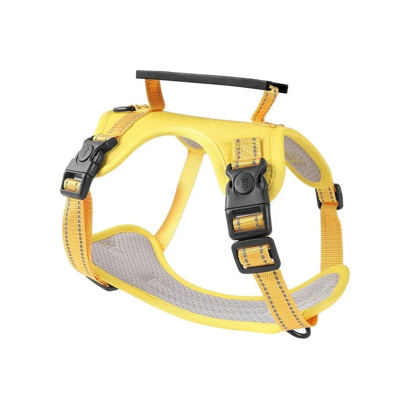 Adjustable dog chest harness and leash set in multiple colours and sizes