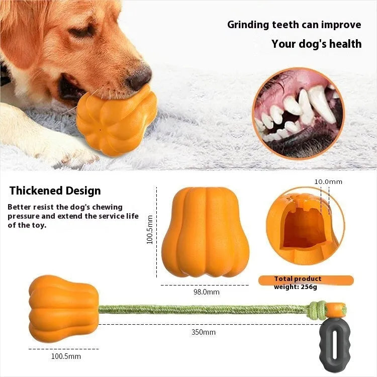 Orange pumpkin-shaped plastic dog toy with rope attachment for outdoor fetch games