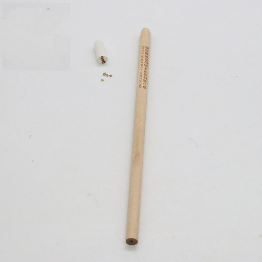 HB seed pencil with biodegradable capsule containing plant seeds in assorted colours