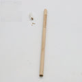 HB seed pencil with biodegradable capsule containing plant seeds in assorted colours