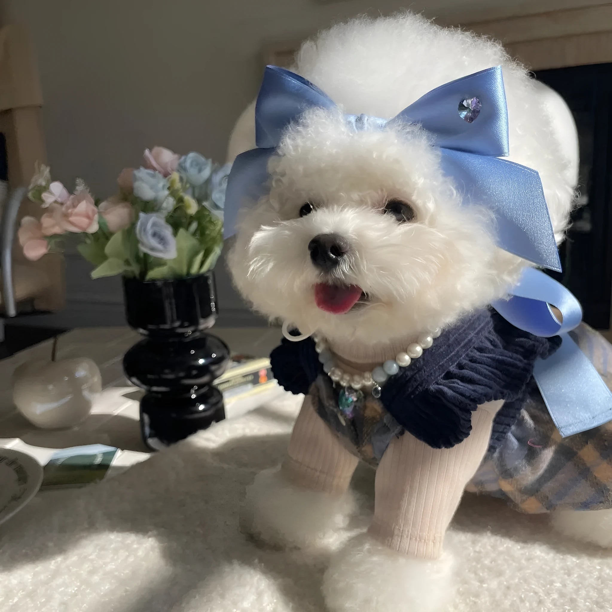 Blue princess-style dog hair band with adjustable bow on canine model