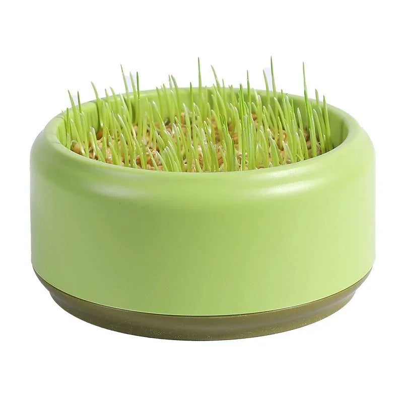 Blue, green, and yellow hydroponic cat grass cups with five packs of seeds on a white background
