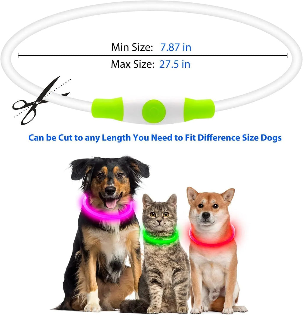 USB rechargeable LED dog collar glowing blue with adjustable 70cm length for night-time pet safety
