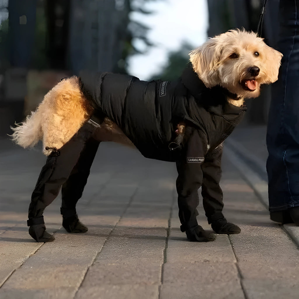 Black waterproof non-slip dog shoes made from polyester fabric
