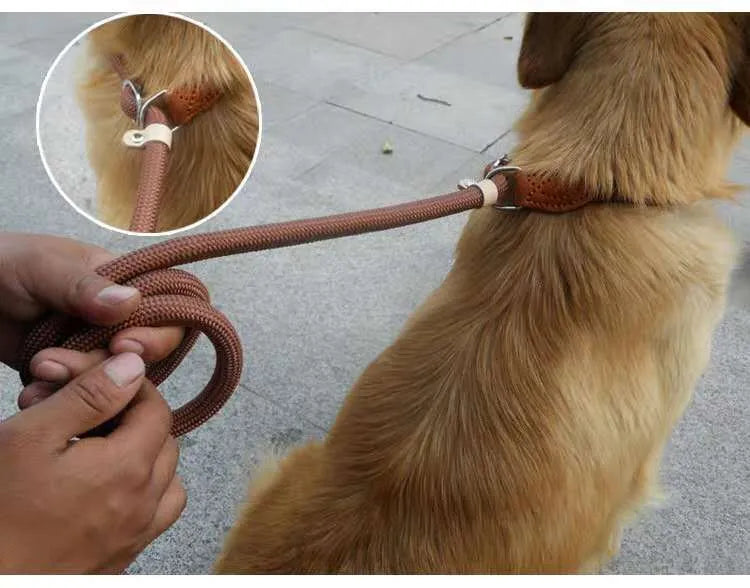 Brown nylon P chain hand holding dog leash showing 2.1 metre length and thickness options