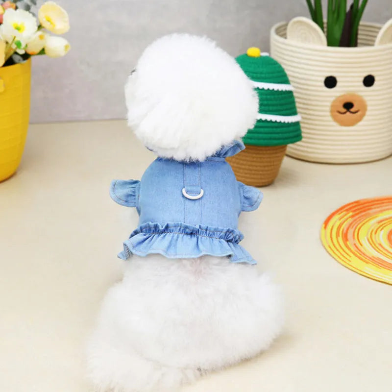 Blue denim vest dress for dog with ruffle trim and metal leash hook on chest.