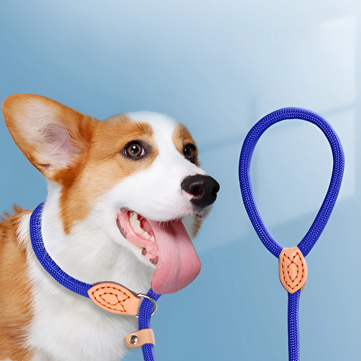 Blast race training dog collar and leash set with rope material in selected colour, showing automatic tightening feature.
