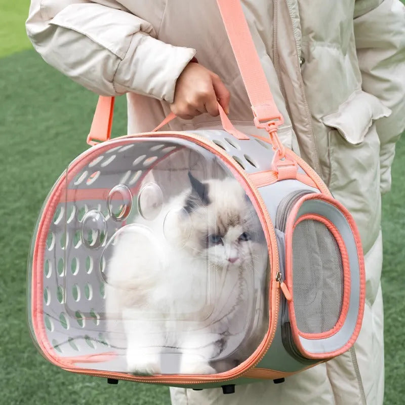 Transparent hard-shell EVA cat backpack carrier showing interior space