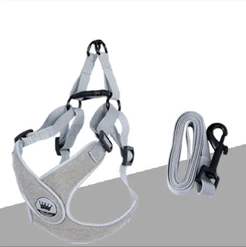 Adjustable breathable mesh dog harness vest with metal D-ring on a pet.
