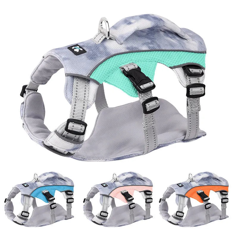 Reflective light blue polyester chest strap harness for a dog on a size chart showing XXS to L.