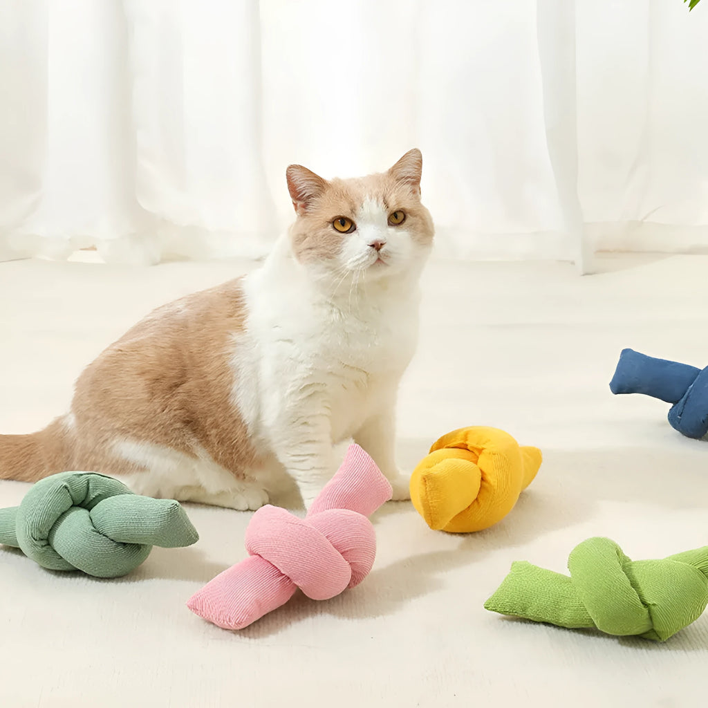 White knotted cotton rope dog toy for chewing and tug-of-war play.
