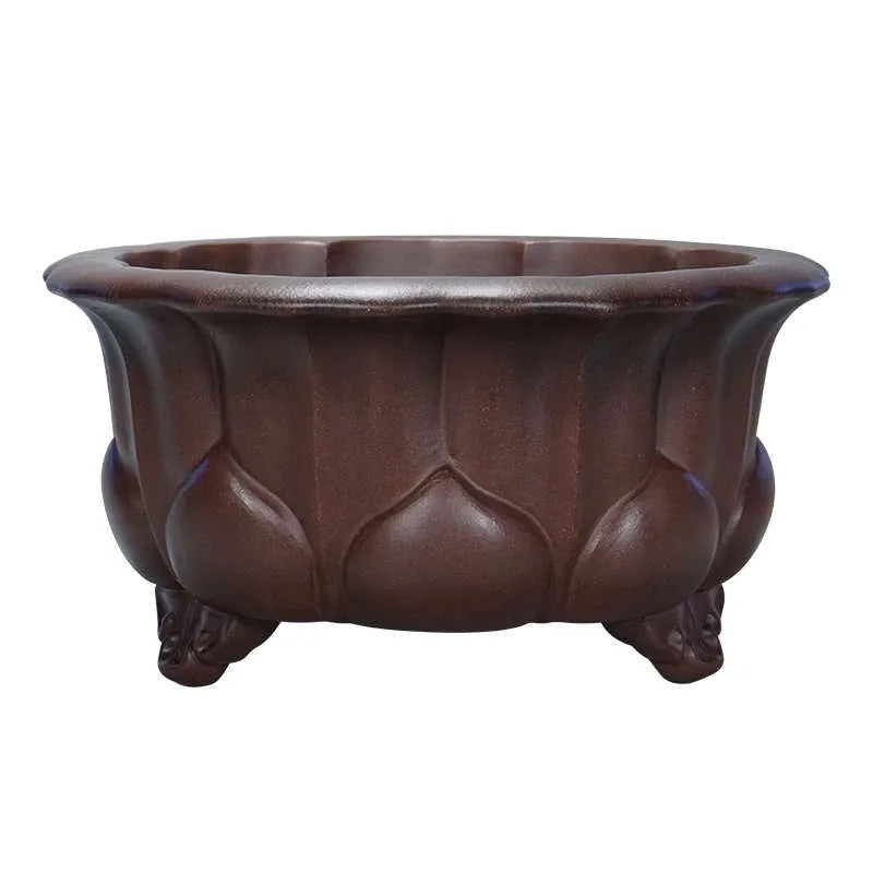 Purple sand succulent flower pot with petal basin design measuring 37x37x20cm