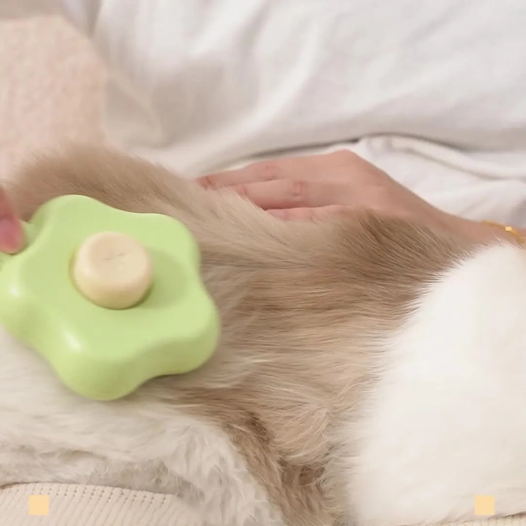 Self-cleaning cat grooming comb with stainless steel needle teeth in green colour option