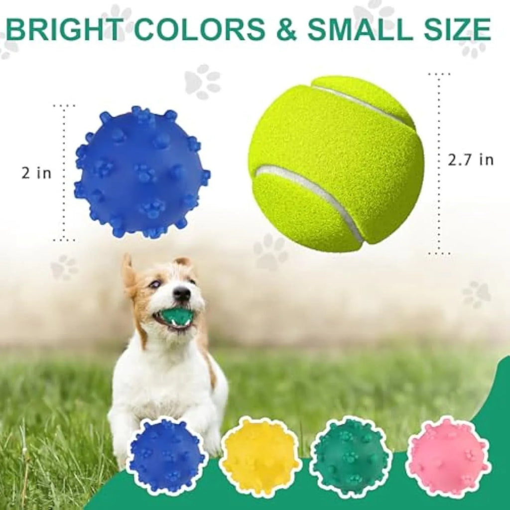 Set of four brightly coloured spiked squeaky dog balls on a blue background