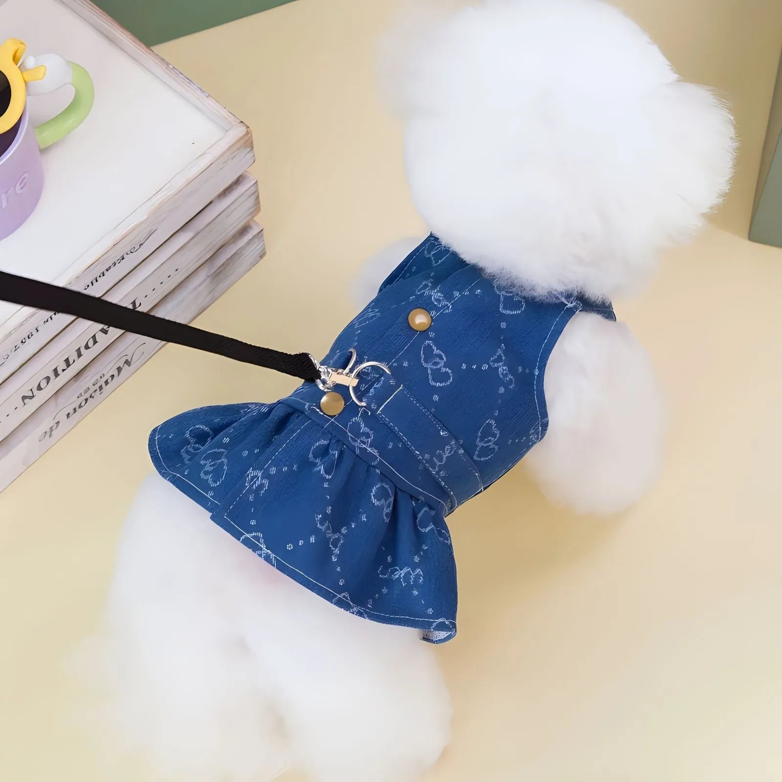 Teddy Bichon dog wearing denim princess dress with bracket skirt design