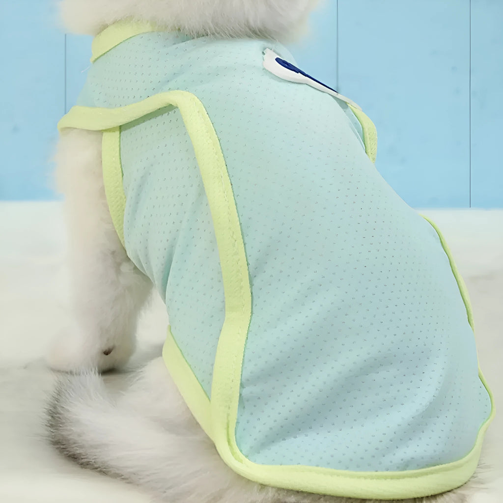 Cat wearing lightweight green mesh cooling vest with sports-style design