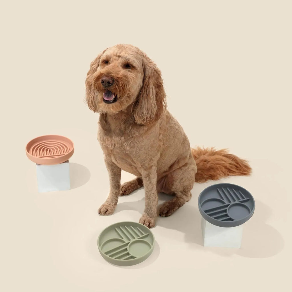 Silicone slow feeder dog bowl with ridges in beige, charcoal, blue, yellow, green, or red.