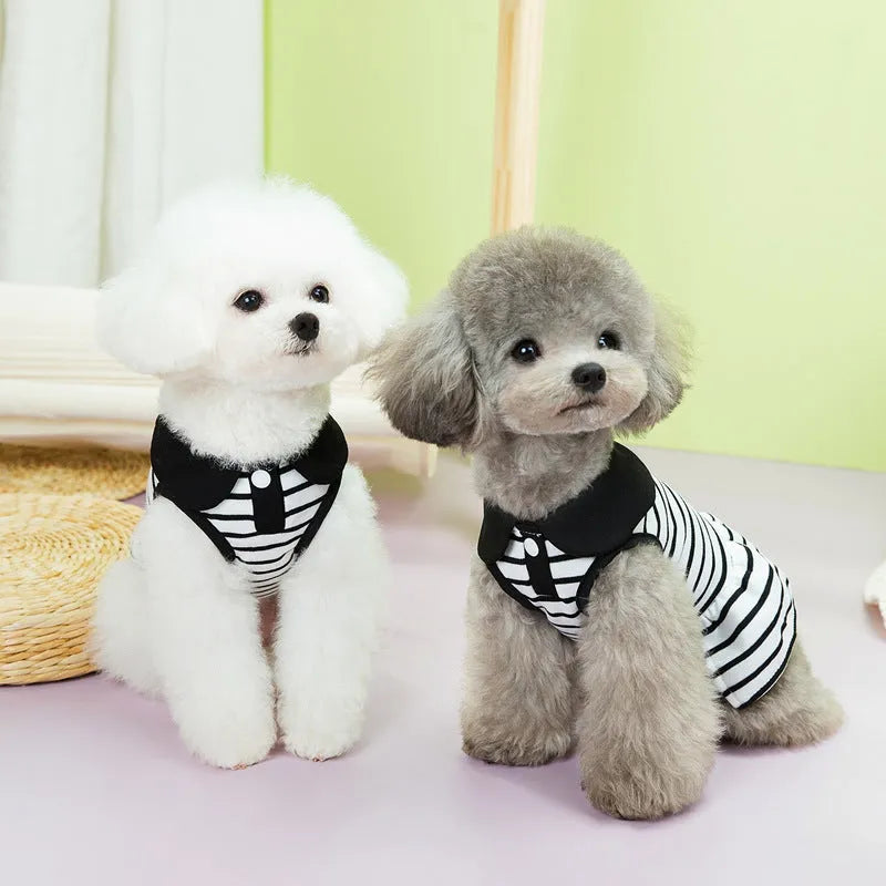 Cotton pet T-shirt and matching skirt set in summer stripes pattern for dogs or cats