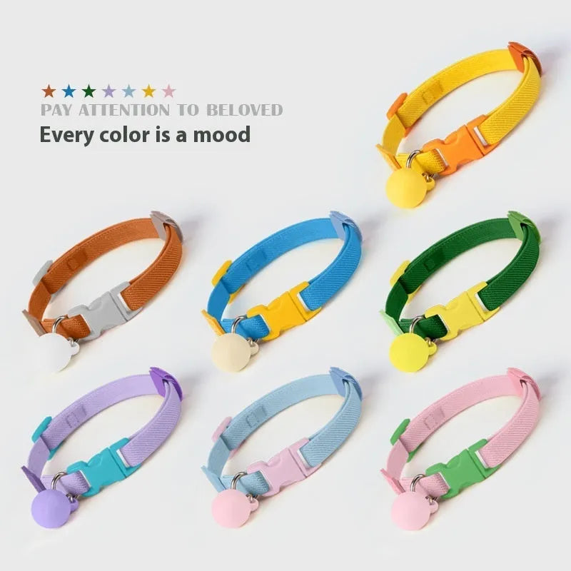 Small dog wearing high elasticity polyester pet collar in yellow colour