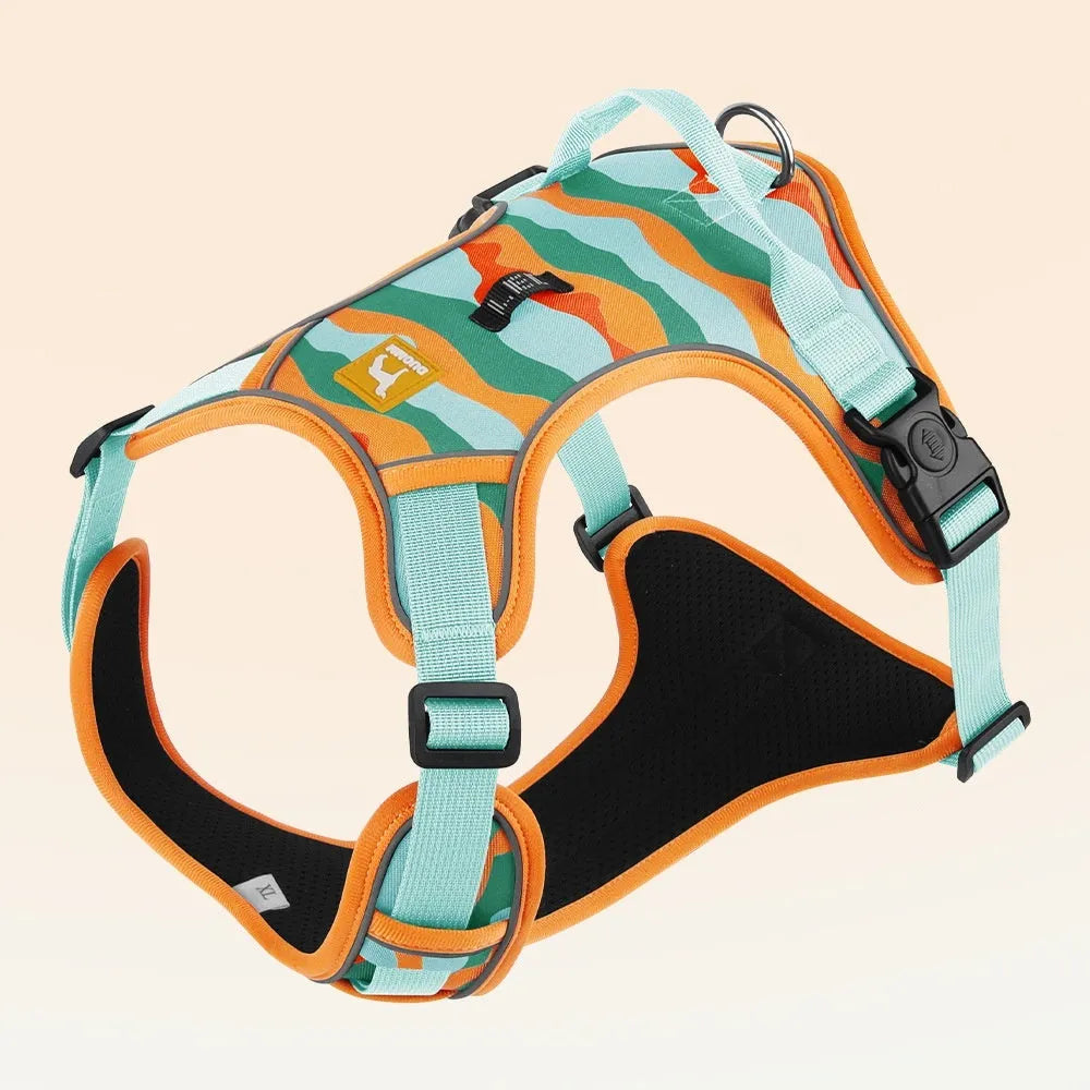 Orange dog harness and lead with chest strap, handle, and reflective strips for commuter safety.