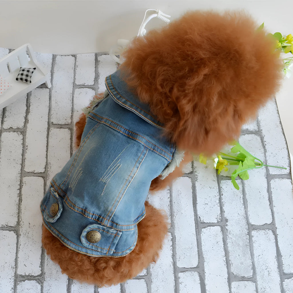 Denim dog vest with scratch pattern design for small breeds in dark and light colour options