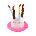 Blue and pink dog birthday hat shown with dimensions 21cm long by 15cm wide