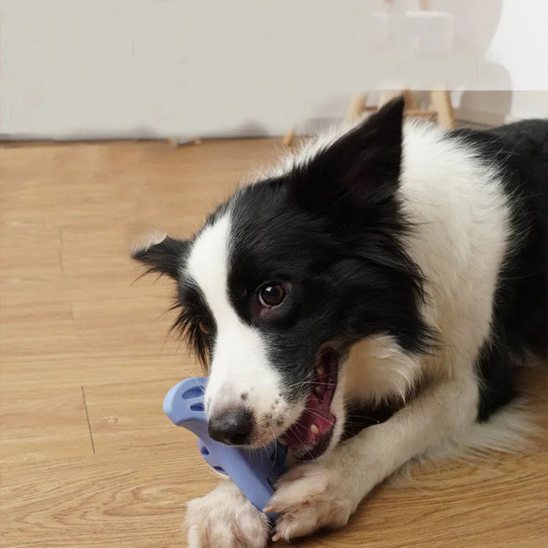Blue or purple bite resistant boomerang dog toy for large breeds with molar cleaning edge design