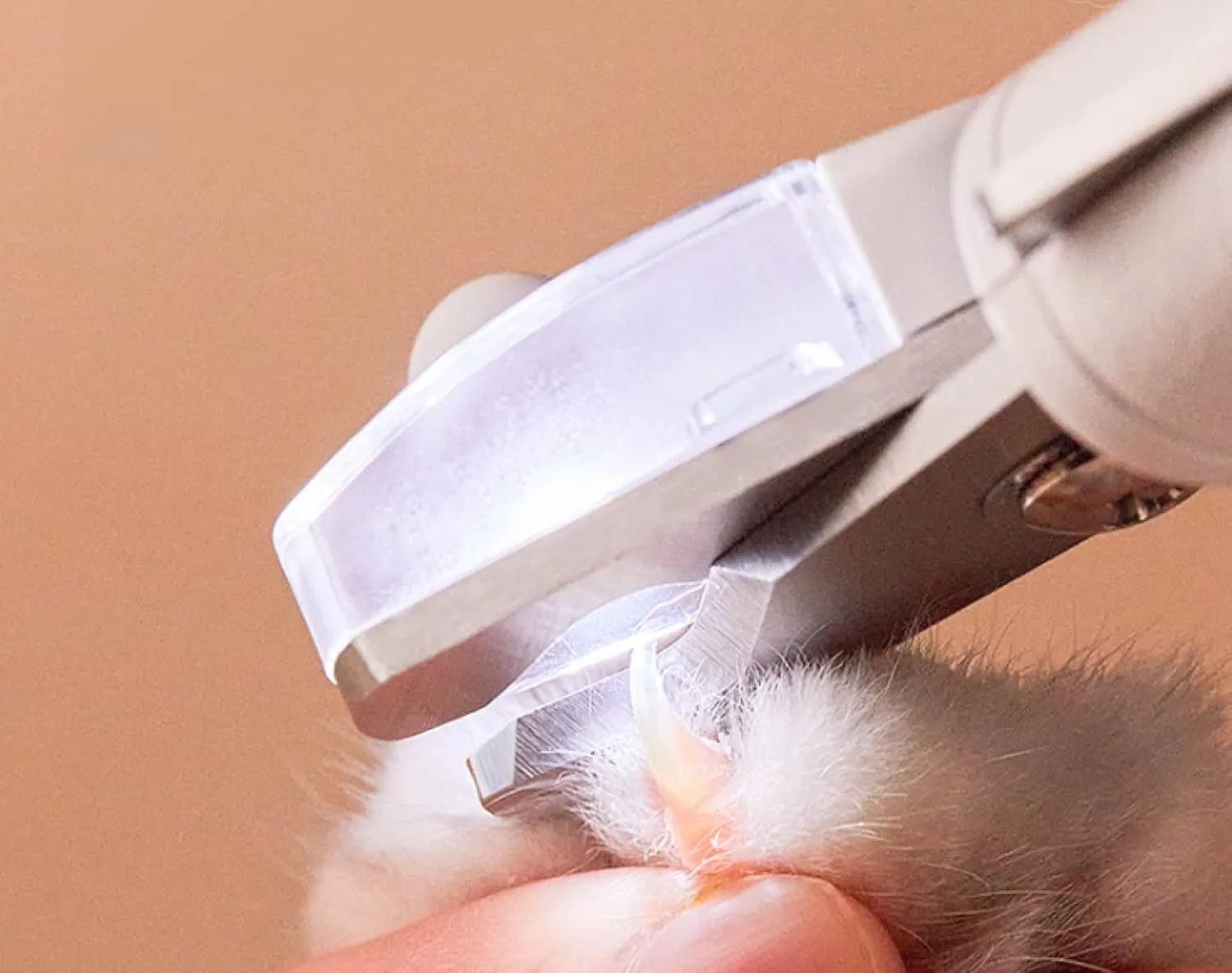 White LED pet nail clipper with transparent anti-splash guard open, showing triangular stainless steel blade