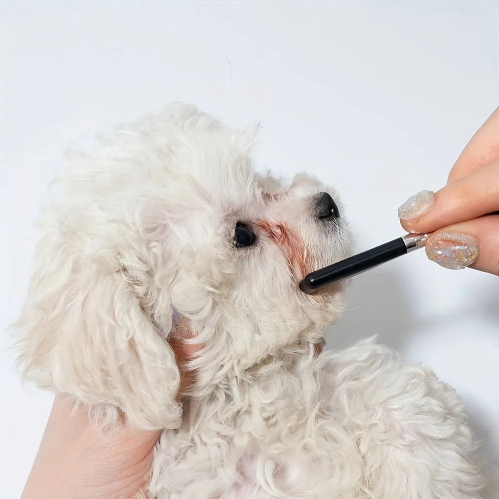 Black dual-head pet grooming brush with soft silicone bristles and a comb for eye cleaning and hair removal.
