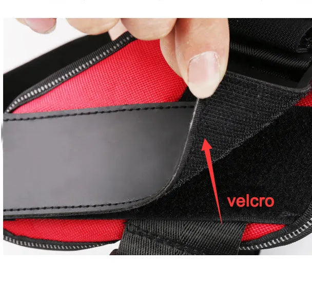Adjustable nylon dog harness with reflective strips and a sturdy handle on a dog.