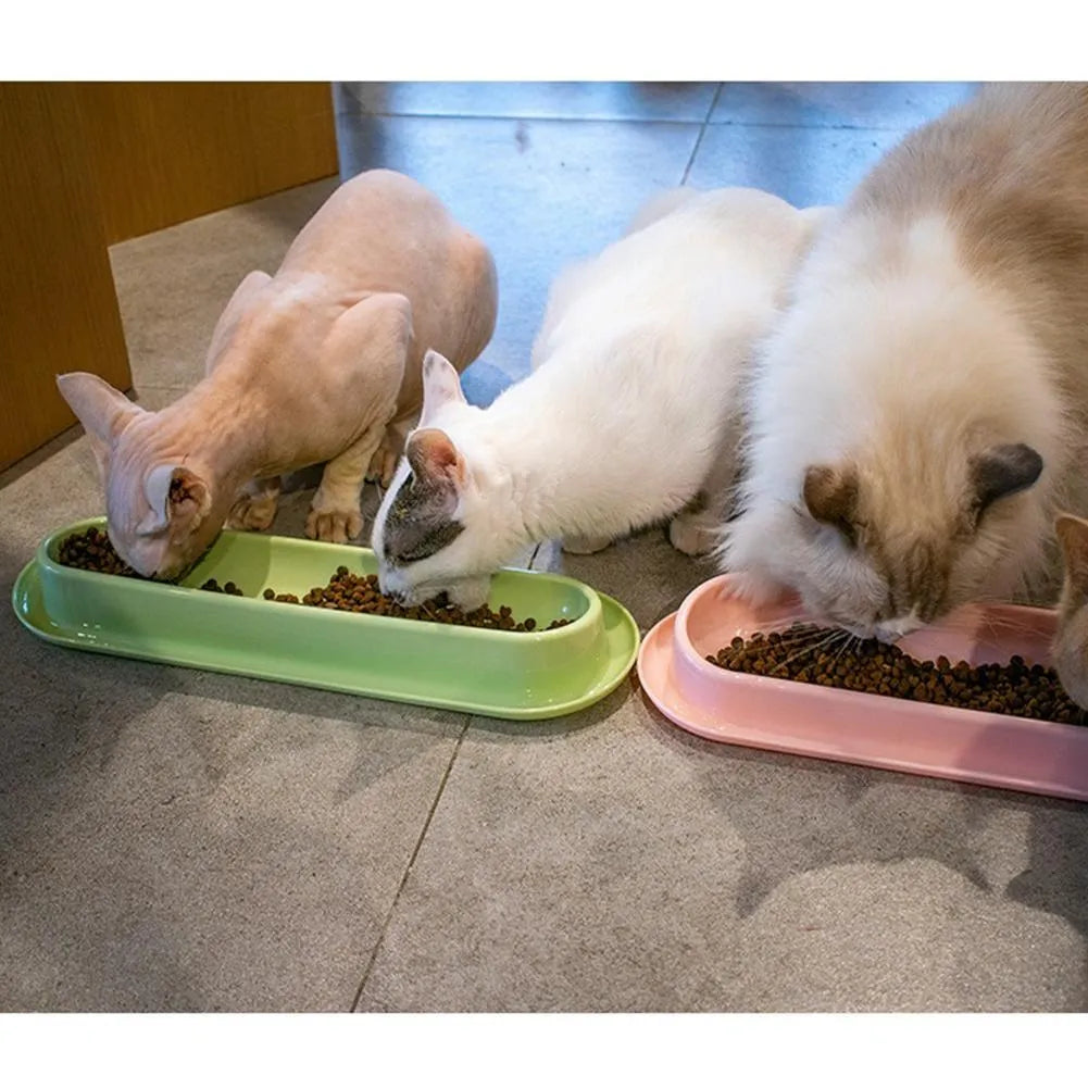 Green, pink, and yellow leakproof plastic pet food and water bowls for multiple kittens or puppies.