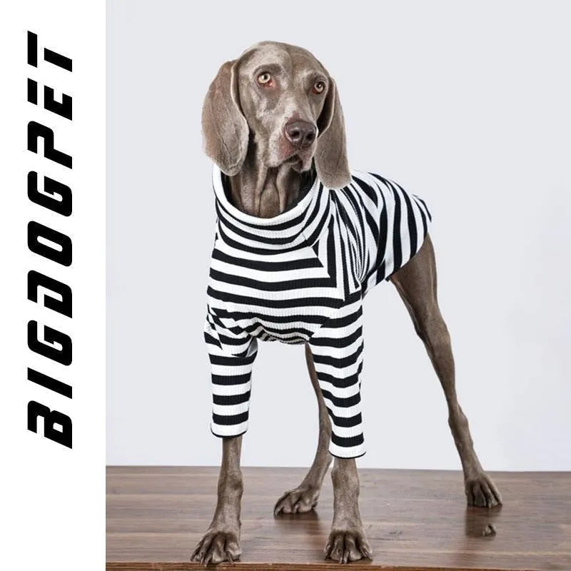 Black and white thin polyester jacket for a large dog, shown in size XL for autumn or winter.