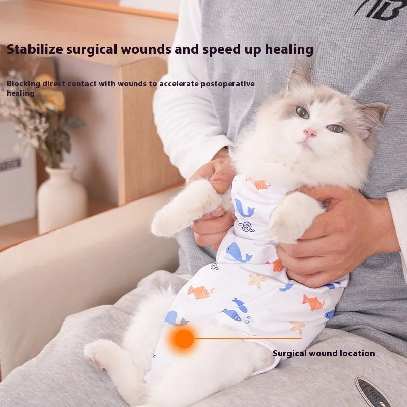 Cat wearing a blue patterned post-surgery sterilization recovery suit with Velcro closures.