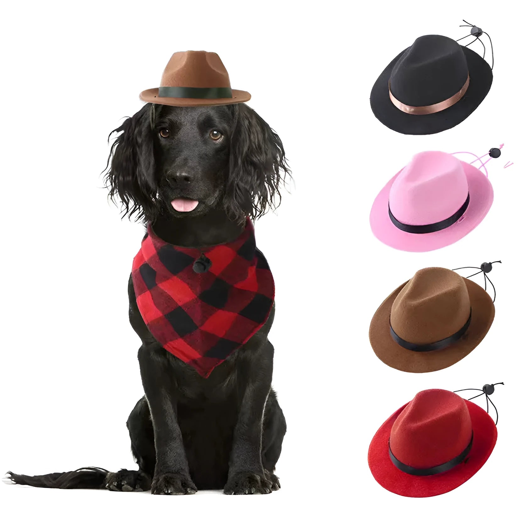 Small wool felt pet hat in pink, black, brown, or red on a mannequin head, S size 155cm diameter.