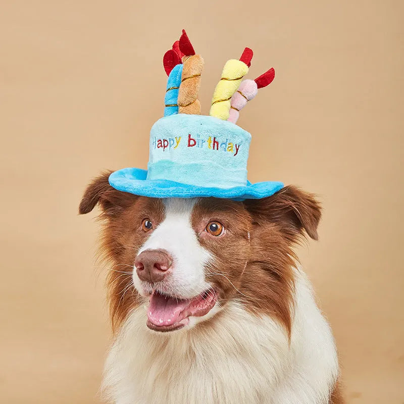 Blue and pink dog birthday hat shown with dimensions 21cm long by 15cm wide