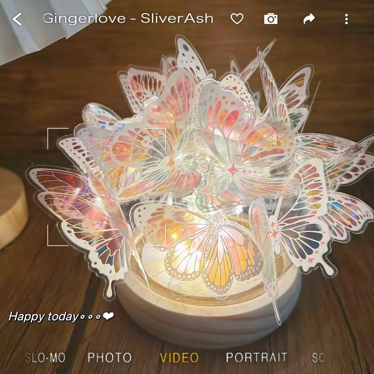 Butterfly night lamp with glass shade and raw wood base measuring 12x15cm for bedside ambience lighting