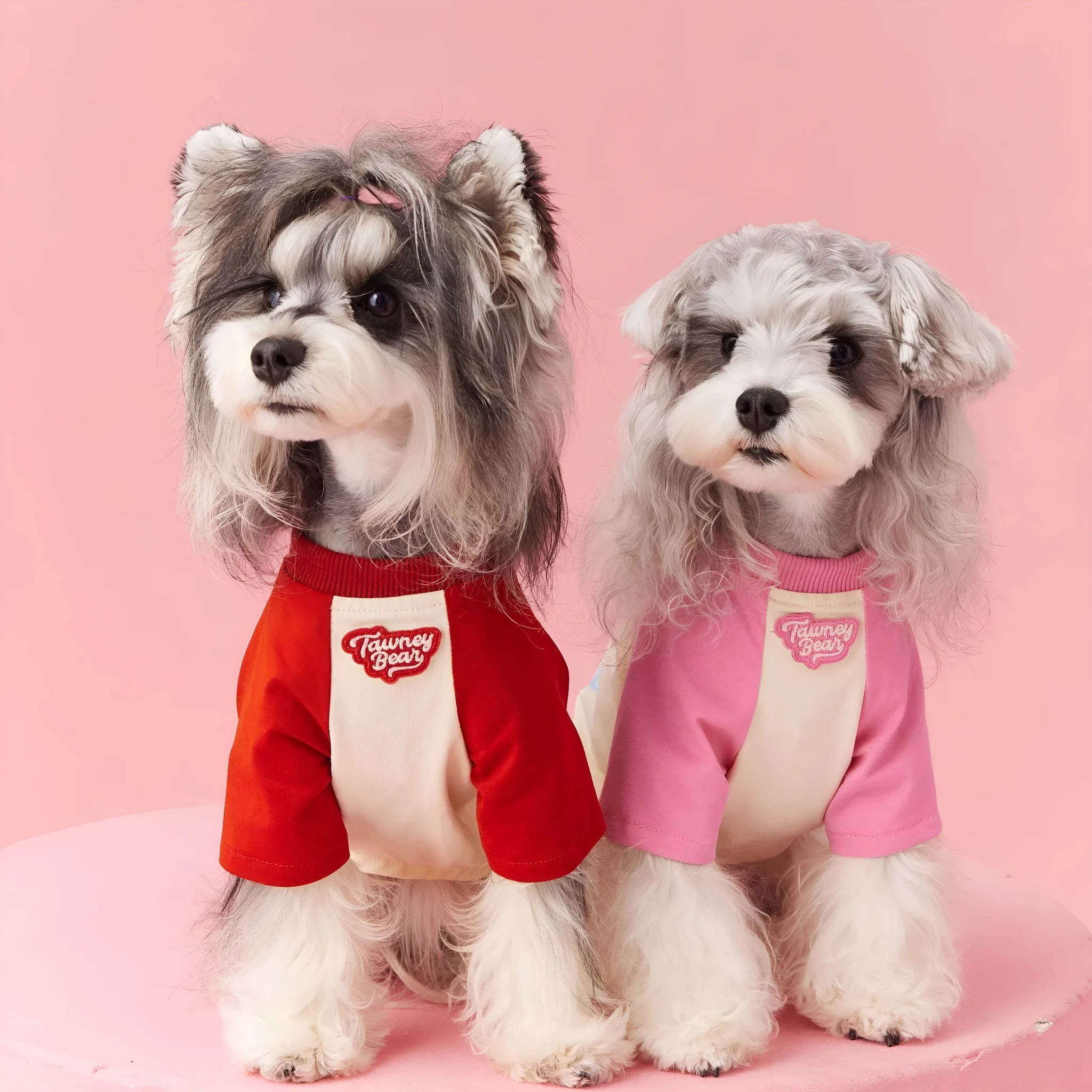 Red embroidered cotton dog summer clothing shown in size L
