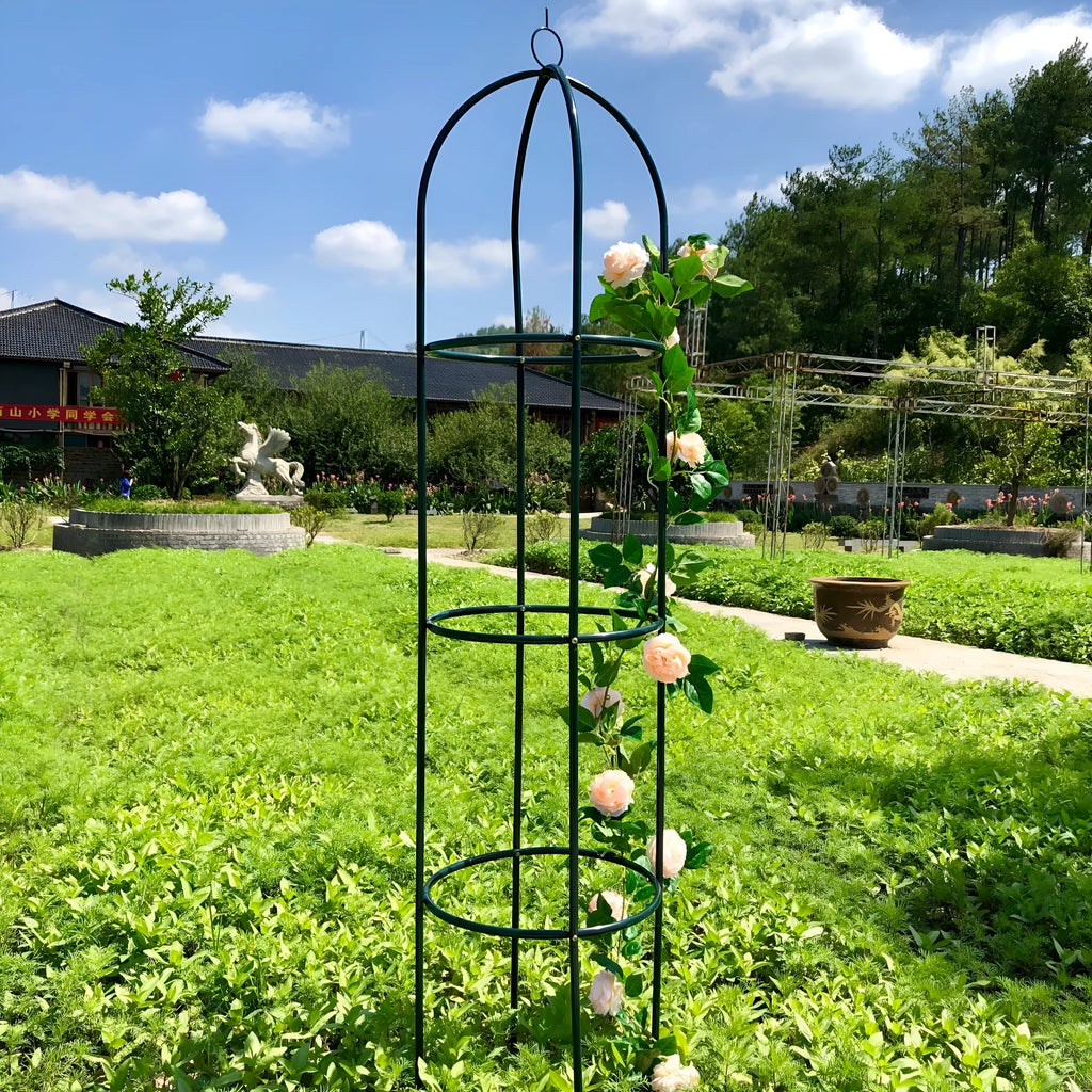 Dark green iron plant climbing frame trellis, 188cm tall by 40cm wide lattice for indoor vines.