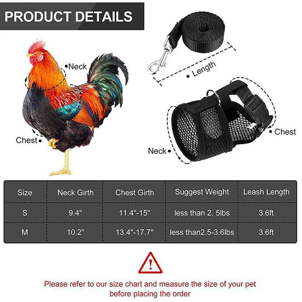 Adjustable chicken vest harness with matching bow collar and traction rope for poultry