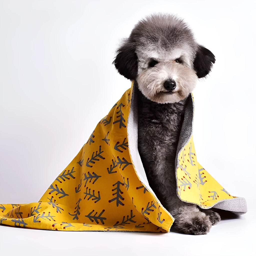 Double-sided cotton wool pet blanket with dinosaur cartoon design showing two size options