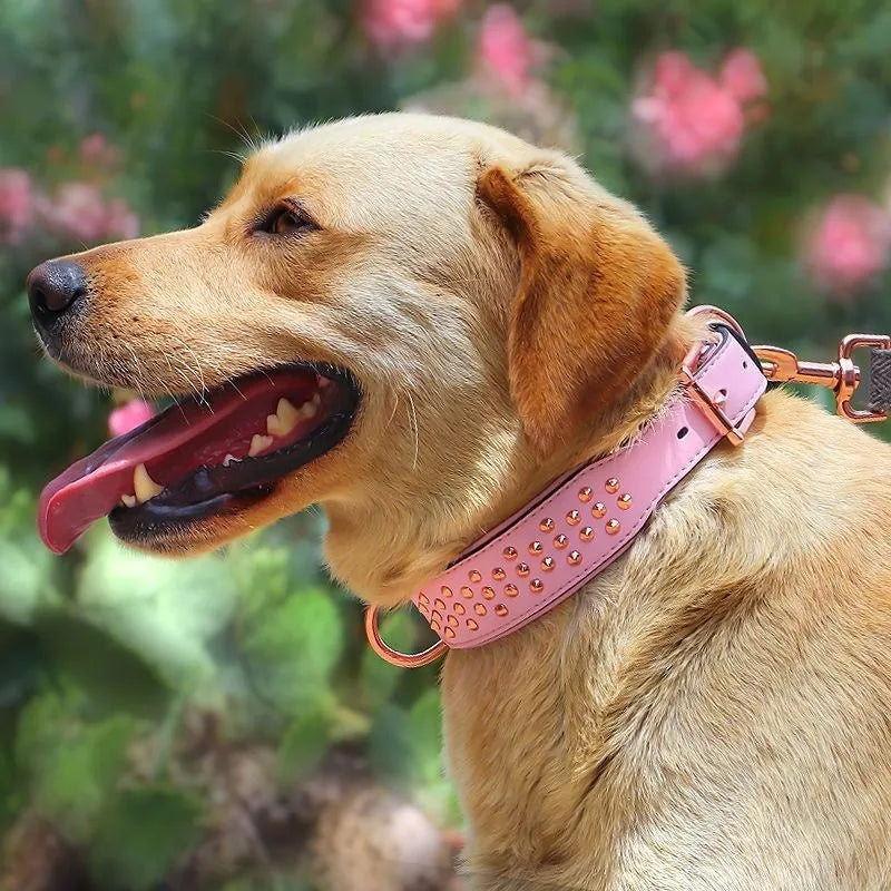 Leather dog collar with metal rivets in black, chocolate, and pink, shown in L and XL sizes.