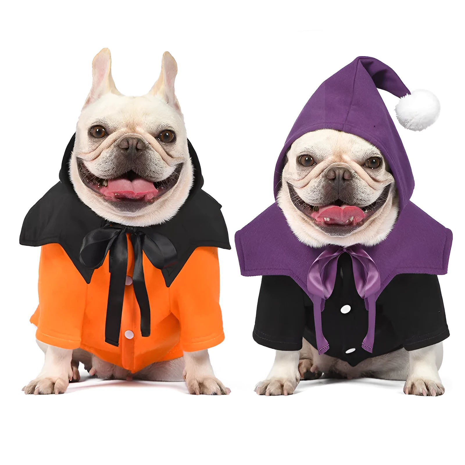 Black and orange Halloween dog sweater with pumpkin shawl costume on pet