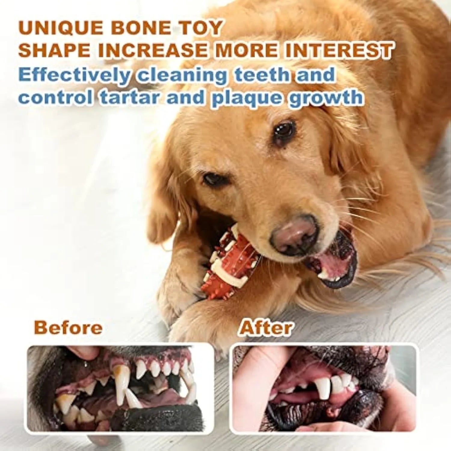 Natural rubber bone-shaped dog chewing toy for dental health in two sizes