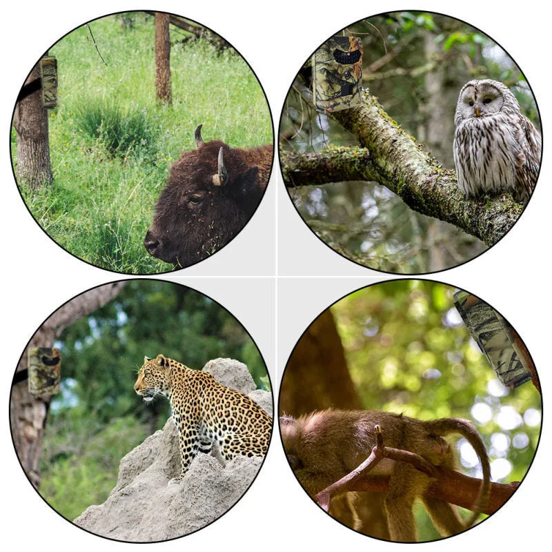 Yellow-brown 16MP hunting game camera with infrared night vision for wildlife monitoring